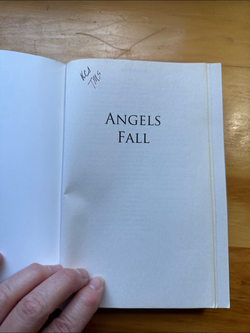 🌈2/$8 Angels Fall - Picture 7 of 12